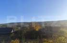 Teren intravilan 500 mp, la asfalt, in Goruni-Tomesti - 1