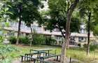 AP 2 CAM | SALA PALATULUICI?MIGIU | PRIMA INCHIRIERE | PET-FRIENDLY - 12
