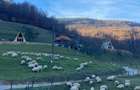 Vand teren la munte si cabana