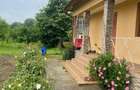 Casa de vanzare la curte cu mult spa?iu verde si zona lini?tita - 4