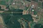 Vand teren intravilan 440mp padure Vladimirescu - 1