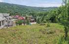 Teren intravilan de vanzare 3400 mp, la 2 km de Valenii de Munte, comuna Drajna de Jos - 4