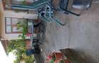 Vand casa cu gradina ?i curte in Sanmartin jud Arad - 4