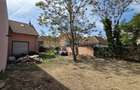 COMISION 0% CASA VECHE CU TEREN STR PREYER IOSEFIN - 13