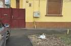 vind casa in Timisoara - 1