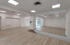 Spatiu comercial Centrul Civic - 14