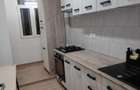 2 Cam Stefan Cel mare - Dorobanti - 8