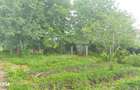 Teren pretabil pentru constructie casa, situat in Deva, zona Vulcan - 9