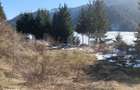 Teren intravilan de vanzare 1200 mp Colibita, front lac 70