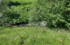Teren intravilan situat in Predeal - 6