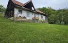 Domeniu Premium 1.7 Ha Intravilan Zarnesti | Liziera Padure - 7
