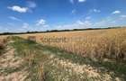 Teren arabil in Nojorid. Investitie sigura la pret excelent - 5