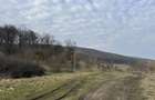 Teren intravilan de vanzare in Corunca - 1