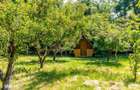 Casa/Vila tip conac, cu anexe si livada de vanzare Valenii de Munte - 5