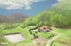 Casă cu 4 camere cu Teren 6000 Mp în Vața de Jos - 10