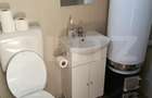Cabana munte, 60 mp, zona iesire Praid - 2
