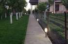 Proprietate cu 3 case 7 km Craiova in Ghercesti - 13