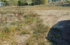 Teren intravilan, 38 ari, zona Sud - Liteni