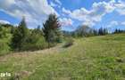 Teren 4048mp Campulung Moldovenesc, Strada Izvorul Alb, Suceava - 4