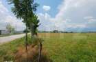 Teren intravilan de vanzare, 899 mp, zona Cornesti - Buduhala - 2