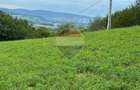 Teren 5600mp | Copalnic-Manastur TOATE UTILITATILE PE PROPRIETATE
