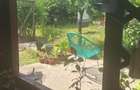 Casa renovata cu livada