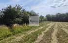 Teren de 11.000 mp cu casa ?i teren agricol | La 40 km de Bucure?ti | - 5
