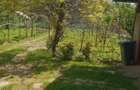 Vila P+E cu teren 2559 mp, vie, garaj, izvor - Borosteni, Gorj - 13