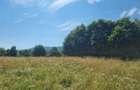 Teren de vânzare – 3.250 mp în Valea Dejani | Natură, liniște și potențial - 5