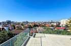 vanzare direct PROPRIETAR 3 cam+terasa 55mp, deosebit,str. M Voievod, Metrou Iancului