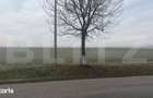 Tren, 5000 mp, DJ 215 - 1