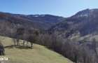 De vanzare teren intravilan 10,100 mp, cu anexa, Munteni - 8