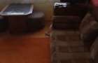 Vand apartament cu 2 camere - 1