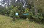 Teren intravilan Poiana Brasov