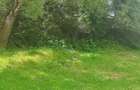 Teren de 3000 mp, în Beliș - 7