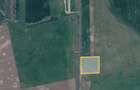 Teren 1 ha intravilan-deschidere 100 ml la DN Simand-Arad, PUZ Motel - 3