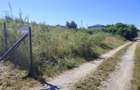 Teren 500 mp la limita intravilanului Valea Chintaului