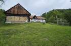 Domeniu Premium 1.7 Ha Intravilan Zarne?ti | Liziera Padure - 18