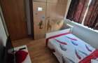 Apartament 2 camere Luica - 4