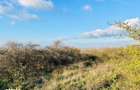 RASOVA Cochirleni Teren extravilan 38 Hectare comasat 100% - 3