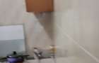 Apartament cu 3 camere decomandat în Frumușani