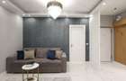 Apartament de LUX Termen lung - 8