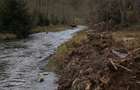 Teren 2000 mp Saticu de Sus Deschidere Raul Dambovi?a & Drum Forestier (Valea lui Ivan)