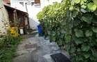 Apartament 2 camere 50 mp utili parter la curte zona Centrul Istoric - 7
