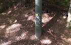 Teren in Sinaia, 500 mp, d 17, urb =d+p+2e+m. numai 70 e/mp - 2