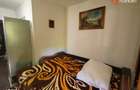 Apartament cu o camera de vanzare in zona Buziasului - 5