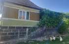 Casa cu gradina satul Asinip, jud Alba 40.000, direct la proprietar - 4