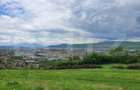 Teren intravilan, 1000mp, Aleea Trifoiului - 6