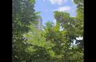 Apartament 2 camere | Arcul de Triumf | Clucerului | Parcare - 10