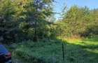 Vand teren intravilan in Beznea , Bratca - 7